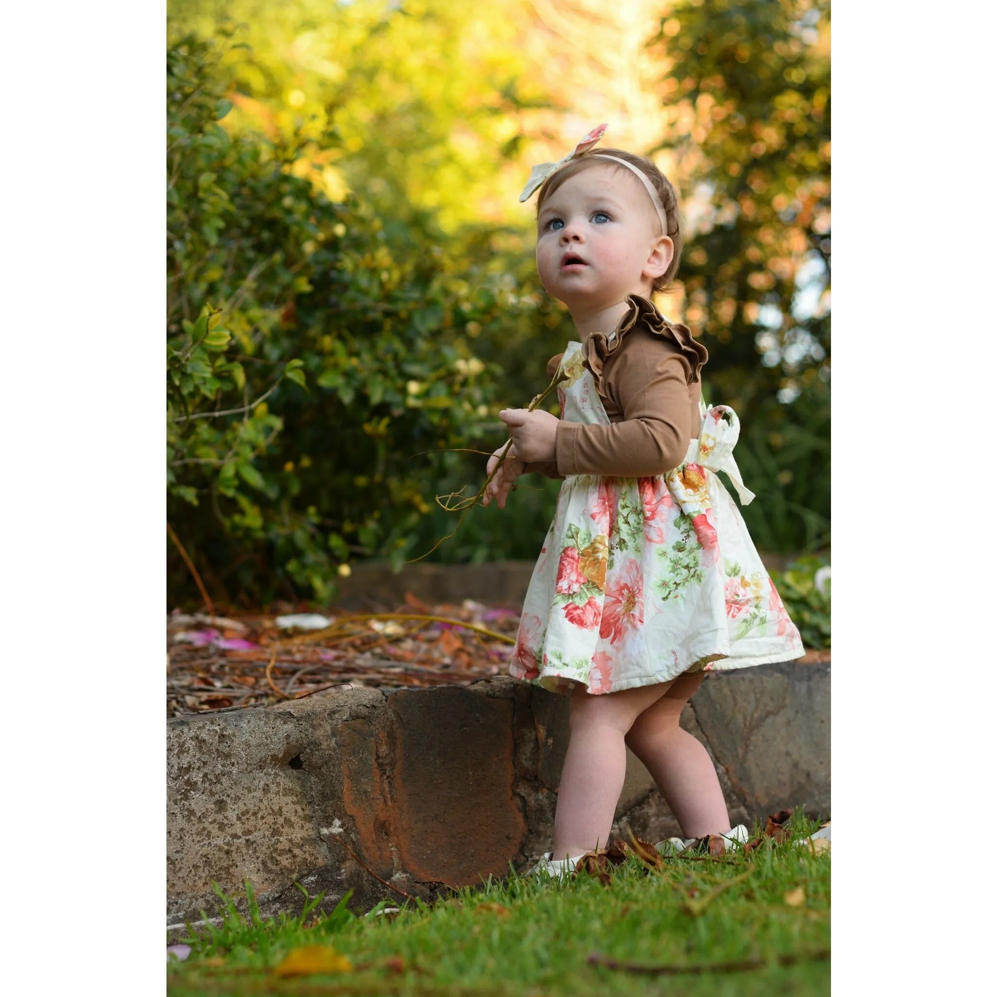 Brown  long sleeve flutter