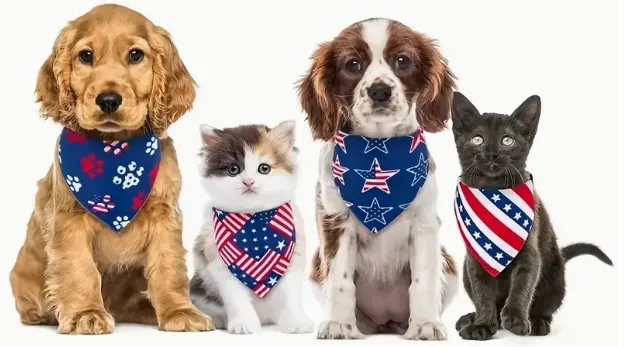 Independence Day Pet Dog Triangle Towel Pet Cat Dog Scarf (Multi Stars Navy Blue)